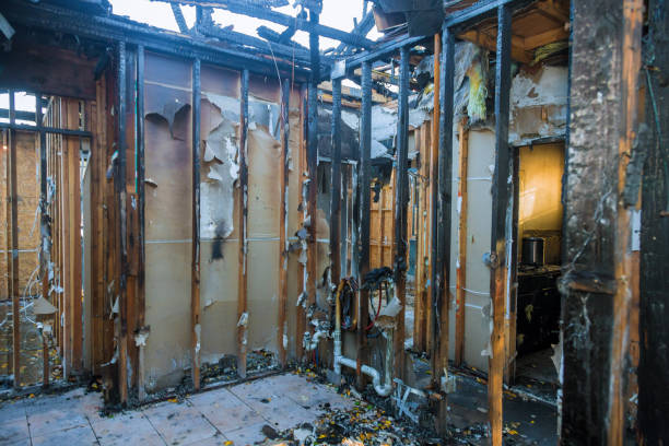 Professional Odor Removal technician working in Star Prairie, WI