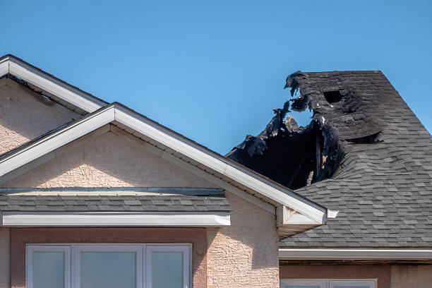 Top rated local Odor Removal specialists in Star Prairie, WI